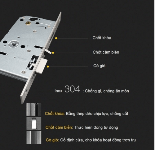 khoa-the-tu-yale-3109