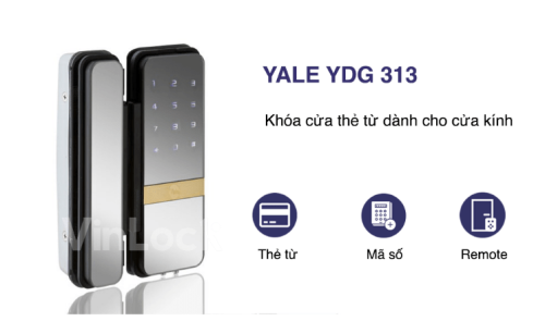 khoa-the-tu-cua-kinh-yale-ydg-313