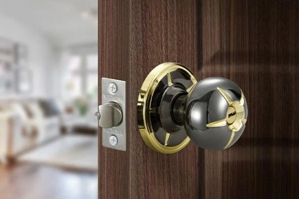 585_crop_30854_001_1.jpg 585_crop_30854_001_1.jpg