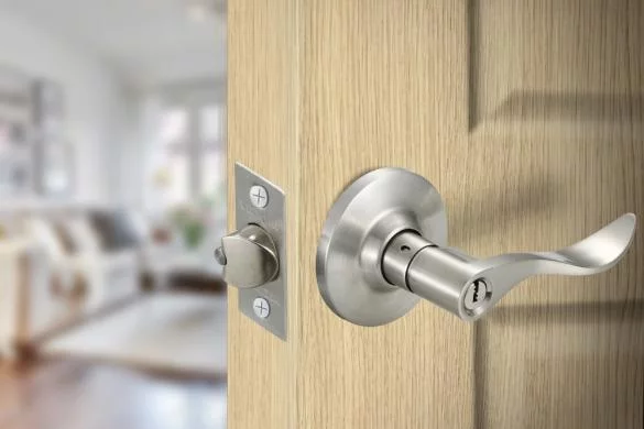 585_crop_31684001_l_bsnsss_pcud.jpg 585_crop_31684001_l_bsnsss_pcud.jpg