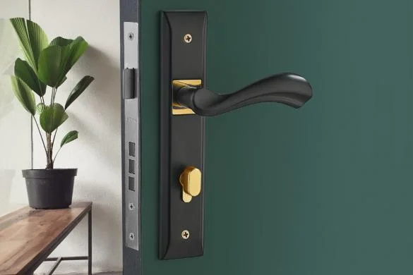 585_crop_33016001_orbgp_pcud_1.jpg 585_crop_33016001_orbgp_pcud_1.jpg