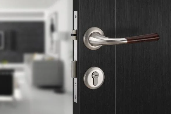 585_crop_34127102_msn_ms_pcud.jpg 585_crop_34127102_msn_ms_pcud.jpg