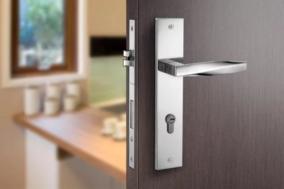 585_crop_35582102_cp_pcud-1.jpg 585_crop_35582102_cp_pcud-1.jpg