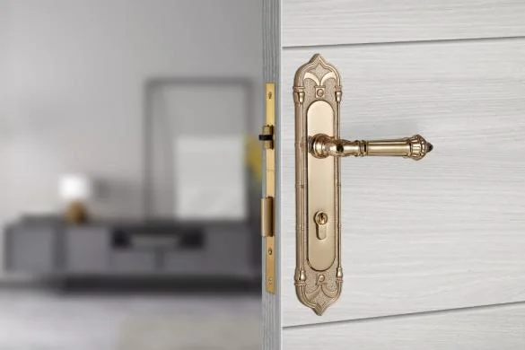 Khóa cửa bằng đồng VICKINI 38401.102 RG dài 307 - Ảnh 3