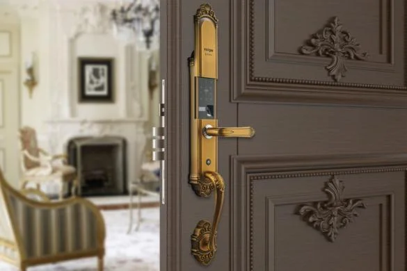 585_crop_39813002_cf_pcud_3.jpg 585_crop_39813002_cf_pcud_3.jpg