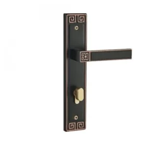 Khóa cửa VICKINI 33017.001 GYM-AC dài 260