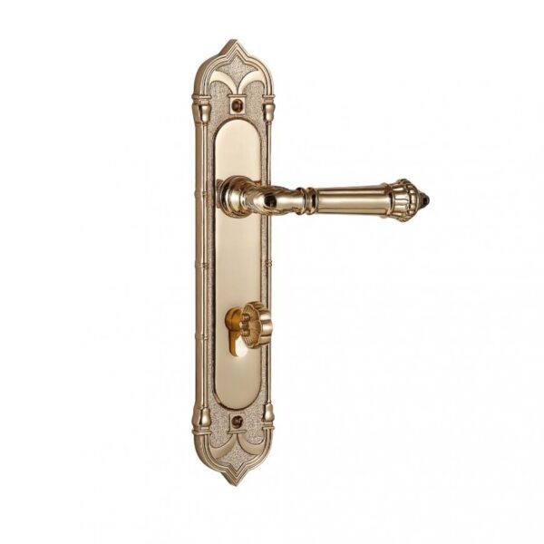 Khóa cửa bằng đồng VICKINI 38401.101 RG dài 307 - Hình ảnh 2