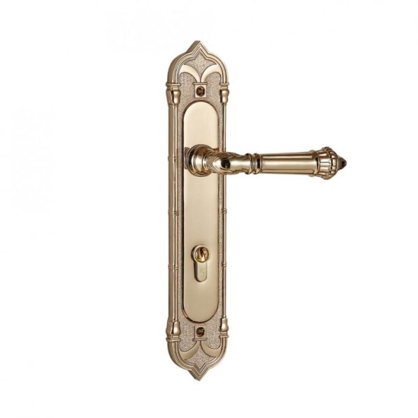 Khóa cửa bằng đồng VICKINI 38401.102 RG dài 307 - Hình ảnh 2