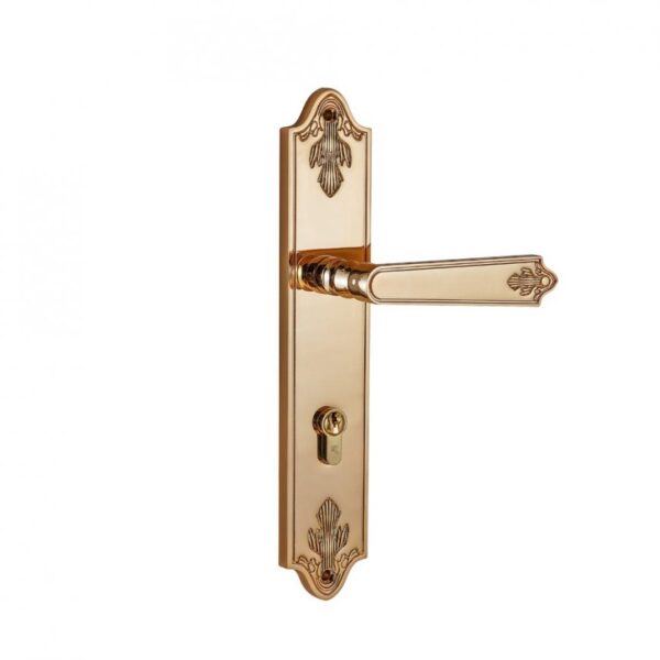 Khóa cửa bằng đồng VICKINI 38405.102 RG dài 298 - Hình ảnh 2