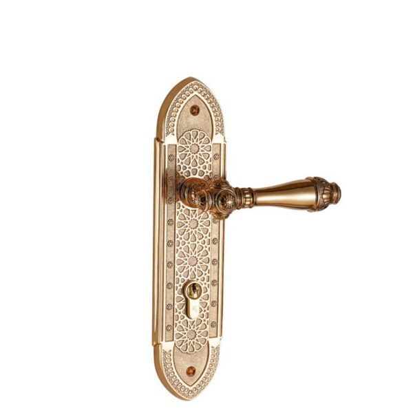 Khóa cửa bằng đồng VICKINI 38406.102 RG dài 282 - Hình ảnh 2