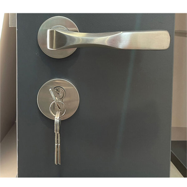 Tay nắm khóa phân thể inox 304 Hafele 903.99.572 - Hình ảnh 2