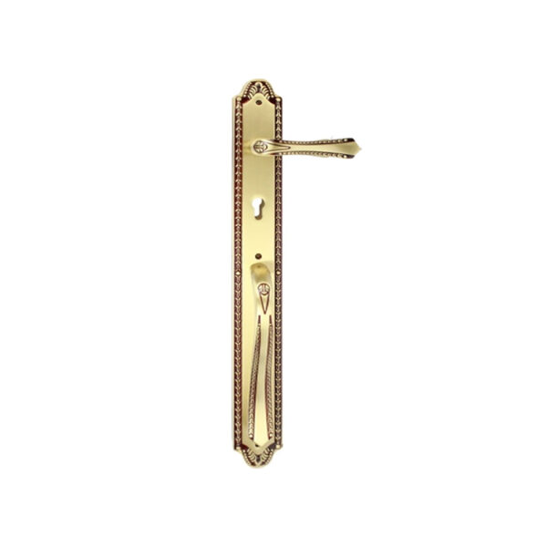 Khóa cửa gỗ đại sảnh Newneo XXL85-8787S dài 600