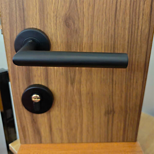 Khóa cửa phòng phân thể Jeely S03D tay Inox 304 màu đen - Hình ảnh 2