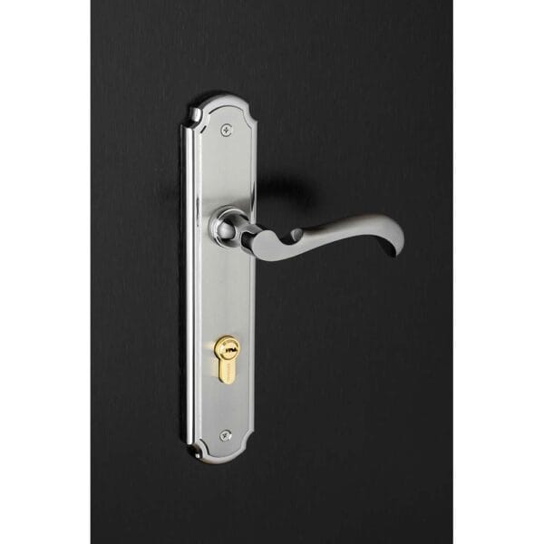 Bộ khóa tay nắm hợp kim EX 8535 VĐ dài 260 - Hình ảnh 3