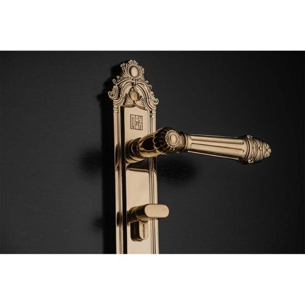 Bộ khóa tay nắm đồng thau  HCP 5826 Gold dài 224 - Ảnh 2