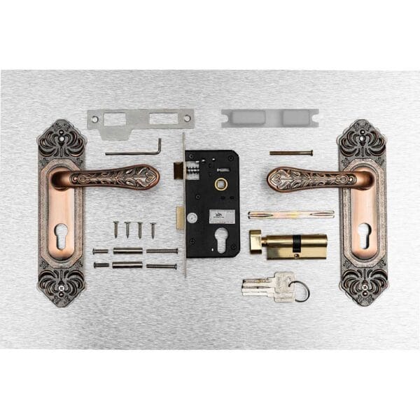 Bộ khóa tay nắm hợp kim EX 5815 dài 224 - Hình ảnh 5