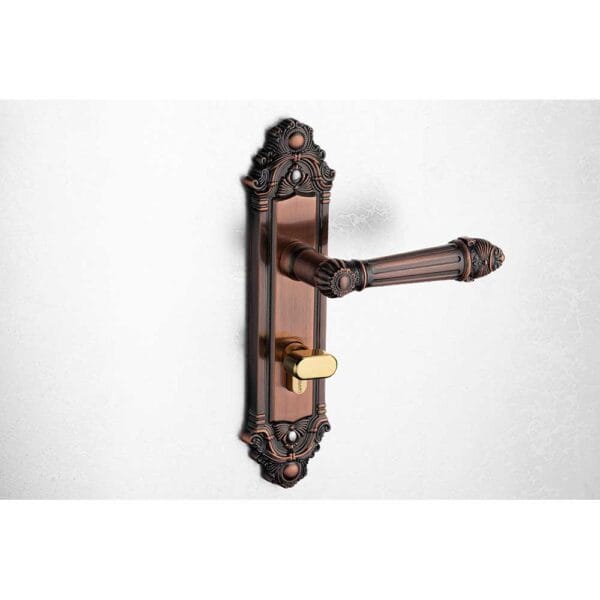 Bộ khóa tay nắm hợp kim EX 5826 dài 224 - Hình ảnh 3