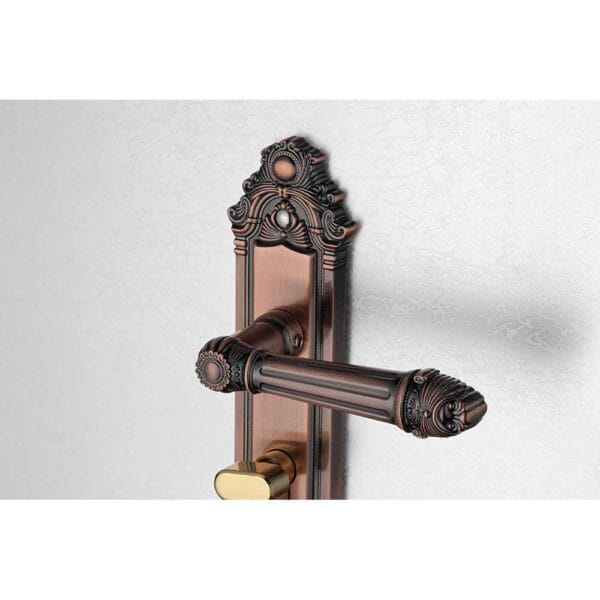 Bộ khóa tay nắm hợp kim EX 5826 dài 224 - Hình ảnh 4
