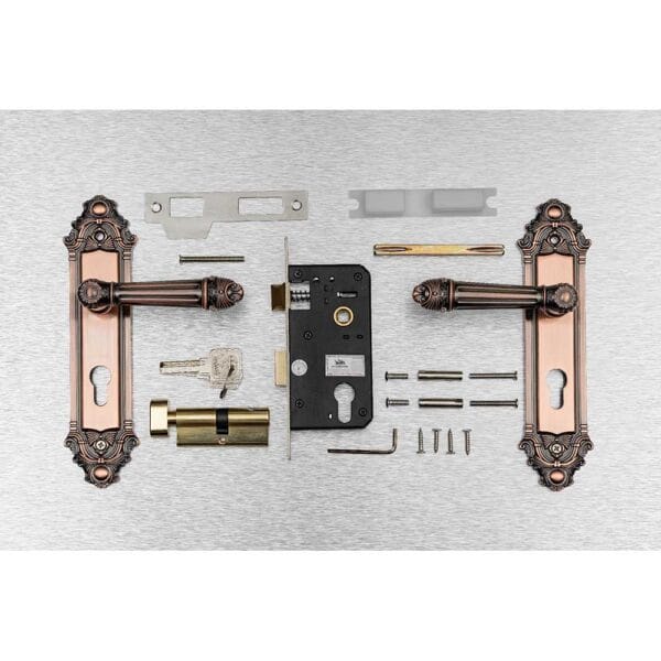 Bộ khóa tay nắm hợp kim EX 5826 dài 224 - Hình ảnh 5