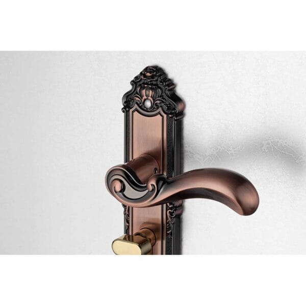 Bộ khóa tay nắm hợp kim EX 5829 dài 224 - Hình ảnh 4