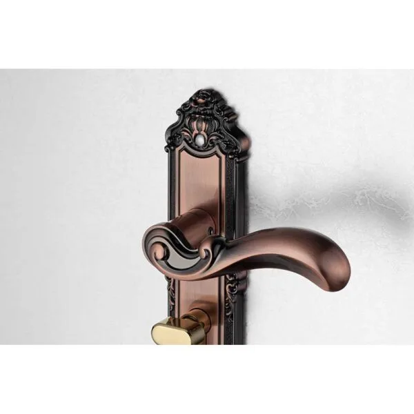 Bộ khóa tay nắm hợp kim EX 5829 dài 224 - Ảnh 4