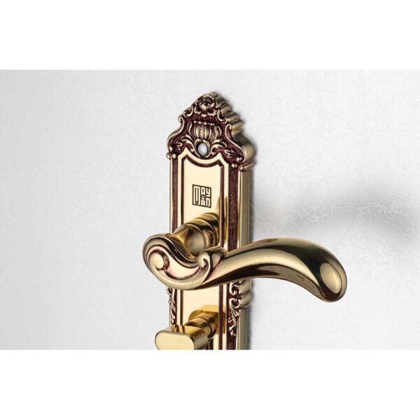 Bộ khóa tay nắm đồng thau HC 5829 dài 234 - Hình ảnh 6