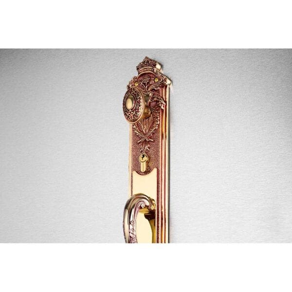 Khóa cửa gỗ đại sảnh HC8524 dài 505 - Hình ảnh 4