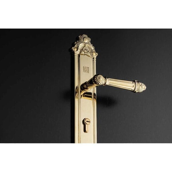 Khóa cửa gỗ đại sảnh đồng thau HC8526 PVD Gold dài 590 - Hình ảnh 4