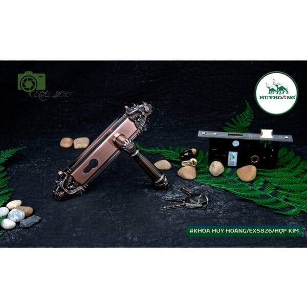 Bộ khóa tay nắm hợp kim EX 5826 dài 224 - Hình ảnh 6