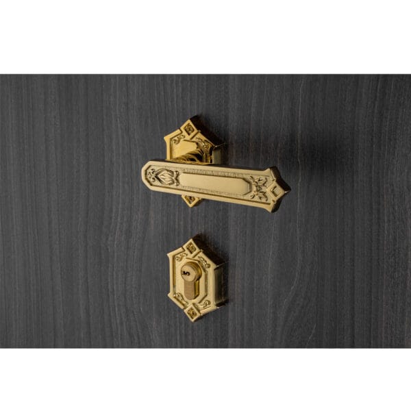 Bộ khóa phân thể tay nắm đồng HC 85 KING PVD Gold - Hình ảnh 3