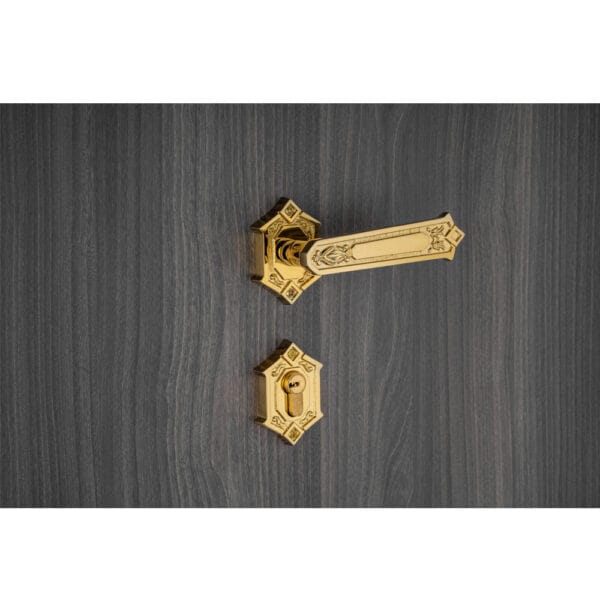 Bộ khóa phân thể tay nắm đồng HC 85 KING PVD Gold - Hình ảnh 4