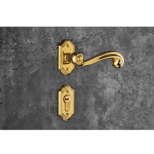Bộ khóa phân thể tay nắm đồng HC 85 PRINCE PVD Gold - Hình ảnh 3
