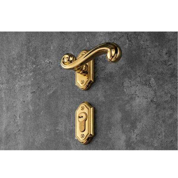 Bộ khóa phân thể tay nắm đồng HC 85 PRINCE PVD Gold - Hình ảnh 4