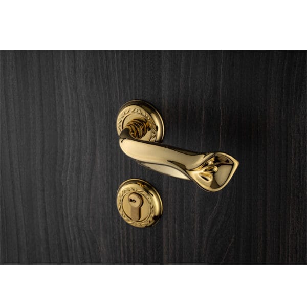 Bộ khóa phân thể tay nắm đồng HC 85 QUEEN PVD Gold - Hình ảnh 3