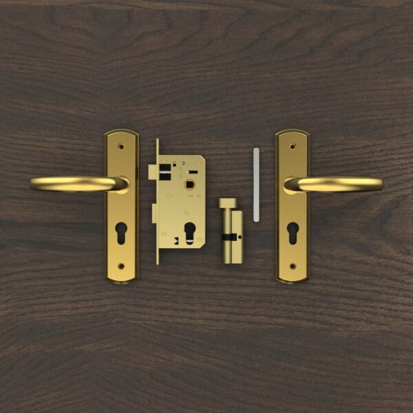 Bộ khóa tay nắm đồng thau HC 5866 PVD Gold dài 210 - Hình ảnh 5