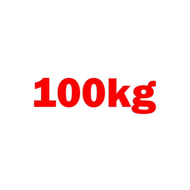 Bản lề sàn 100kg