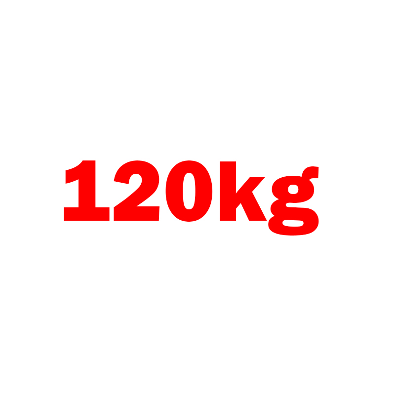 Bản lề sàn 120kg