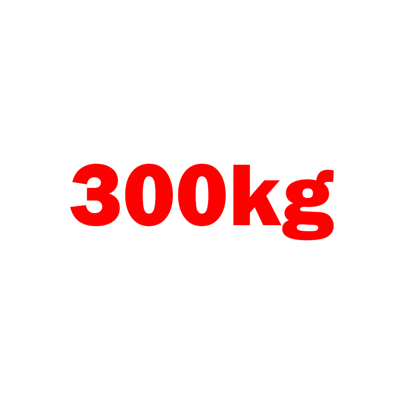 Bản lề sàn 300kg