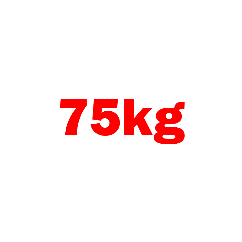 Bản lề sàn 75kg