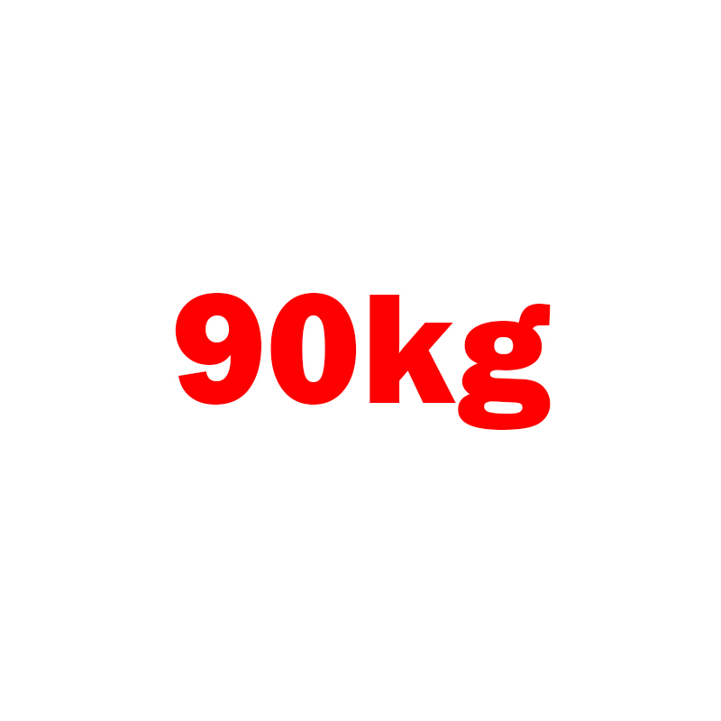 Bản lề sàn 90kg