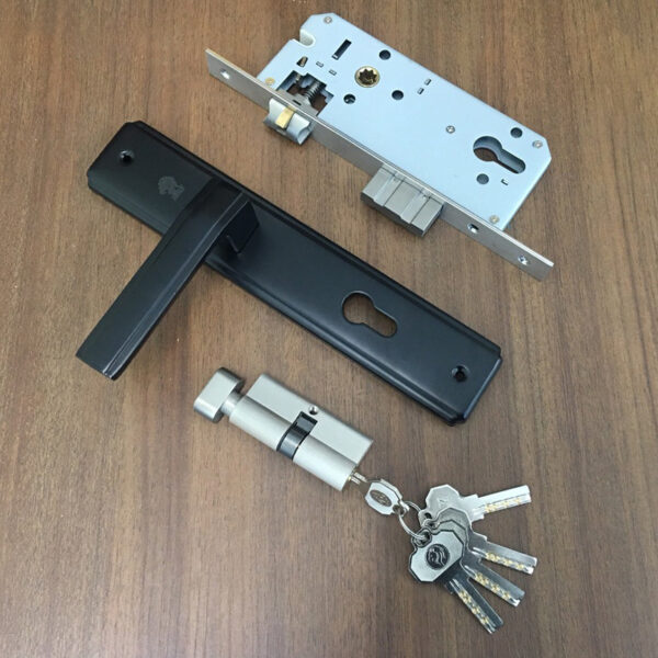 Khóa tay gạt Jeely H308-260B đen mờ